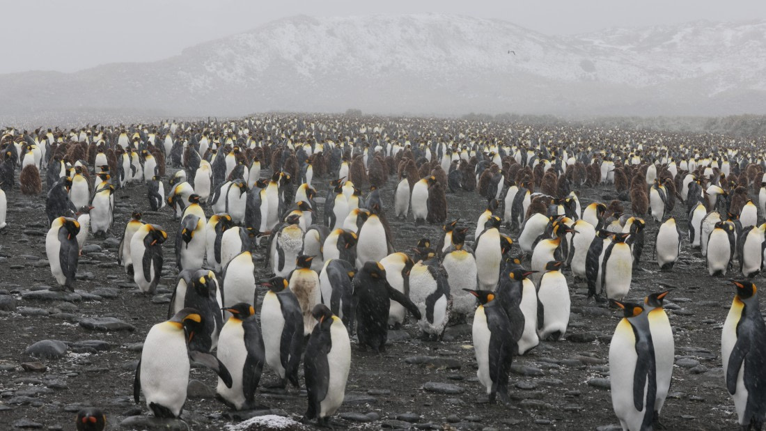 PLA23-25, Day 11, Day 11_RegisPERDRIAT (3).jpg ©Regis Perdriat - Oceanwide Expeditions.jpg