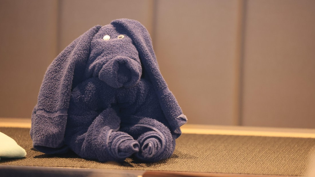 PLA23-25, Day 14, 5F4A5062.jpg ©Unknown Photographer - Oceanwide Expeditions.jpg