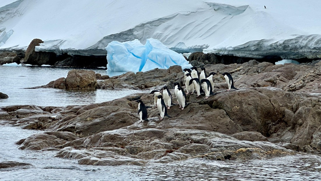 OTL24-25, Day 4, IMG_7490.jpeg © Allan White - Oceanwide Expeditions.jpeg