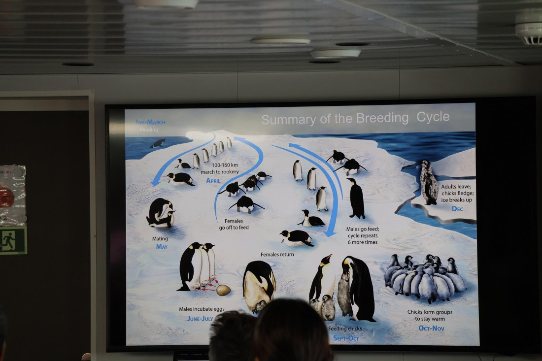 OTL24-25, Day 2, IMG_7386.JPG © Beth Hitchcock - Oceanwide Expeditions.JPG