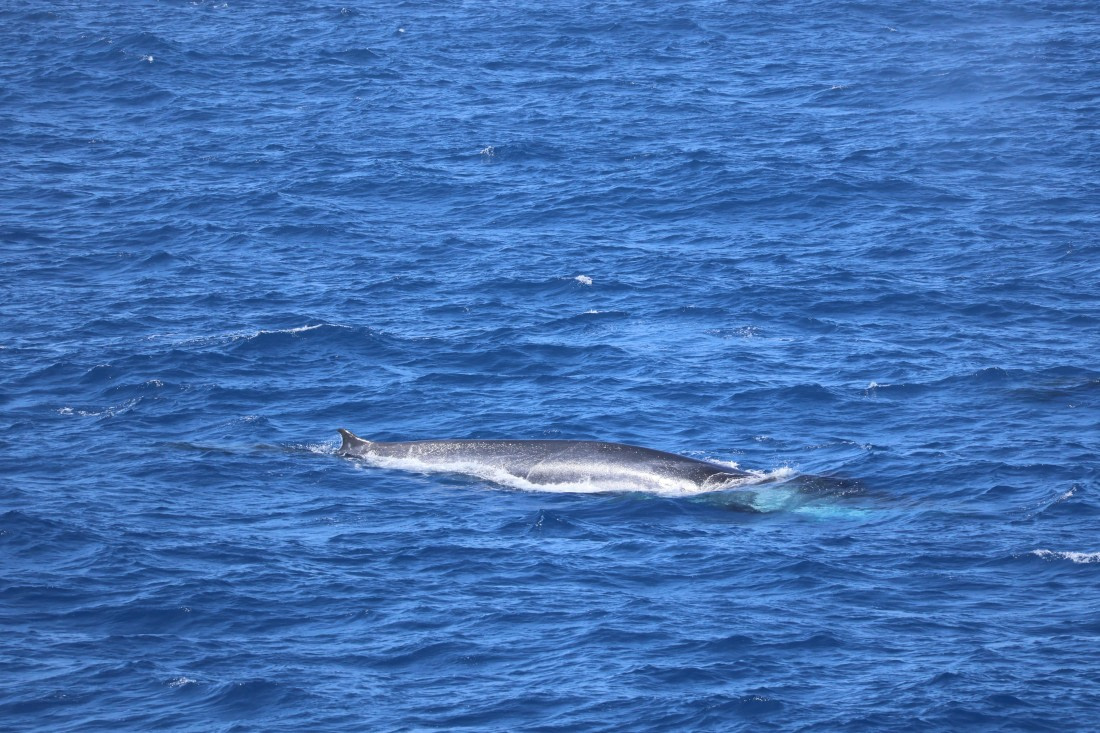 OTL24-25, Day 2, IMG_7389.JPG © Beth Hitchcock - Oceanwide Expeditions.JPG