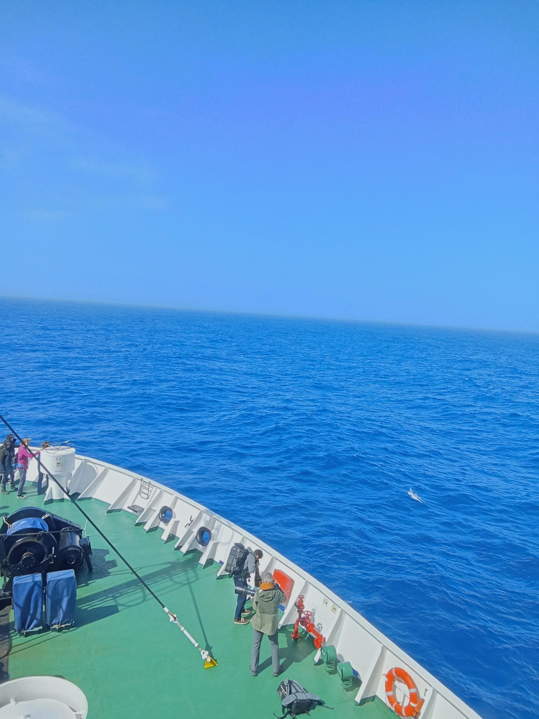 OTL24-25, Day 2, IMG20251202104714.jpg © Sam Bamford - Oceanwide Expeditions.jpg