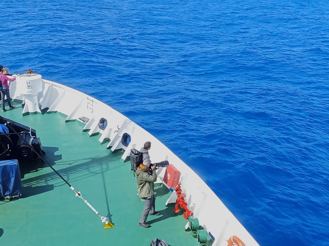 OTL24-25, Day 2, IMG20251202104730.jpg © Sam Bamford - Oceanwide Expeditions.jpg