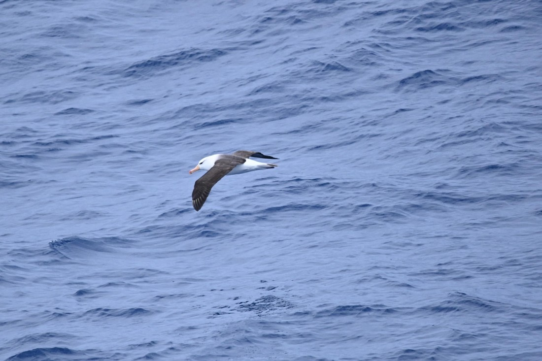 OTL24-25, Day 2, SAS_4375.JPG © Saskia van der Meij - Oceanwide Expeditions.JPG