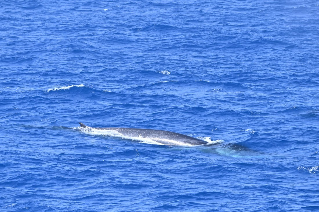 OTL24-25, Day 2, SAS_4384.JPG © Saskia van der Meij - Oceanwide Expeditions.JPG