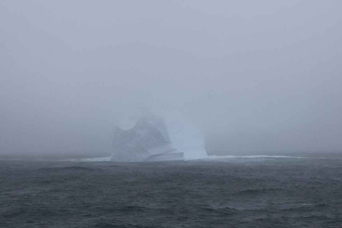 OTL24-25, Day 3, IMG_7410.JPG © Beth Hitchcock - Oceanwide Expeditions.JPG