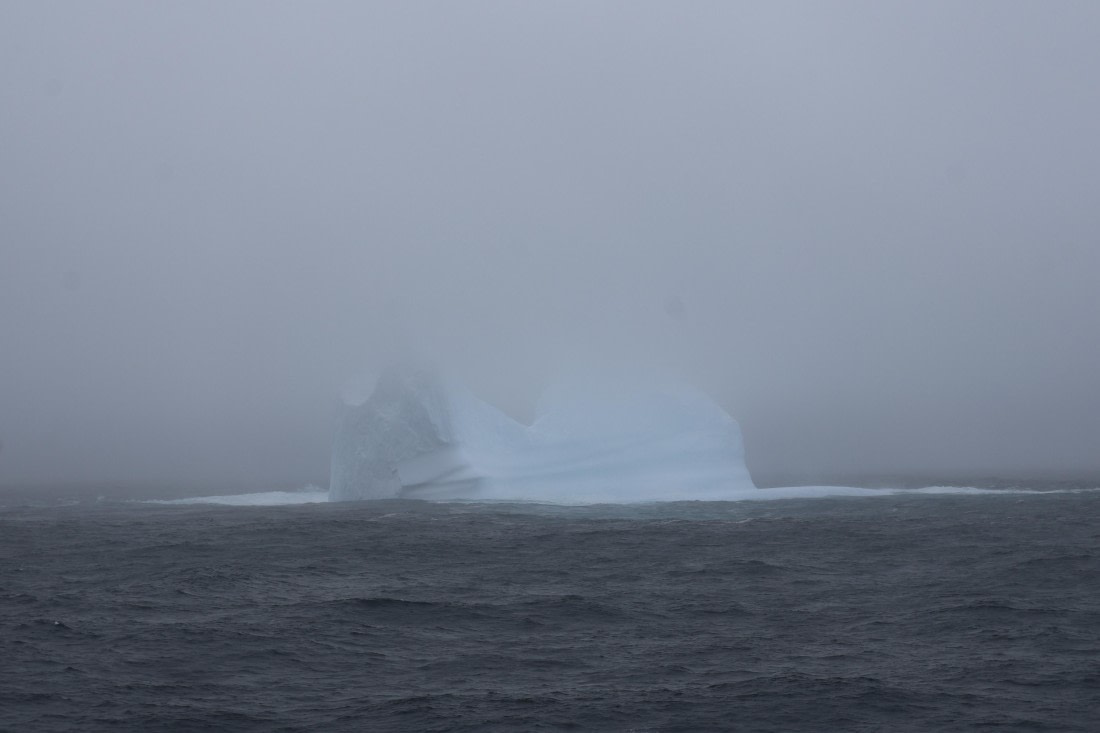 OTL24-25, Day 3, IMG_7418.JPG © Beth Hitchcock - Oceanwide Expeditions.JPG