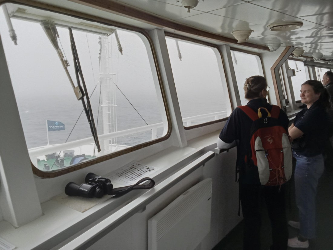 OTL24-25, Day 3, IMG20251203093934.jpg © Sam Bamford - Oceanwide Expeditions.jpg