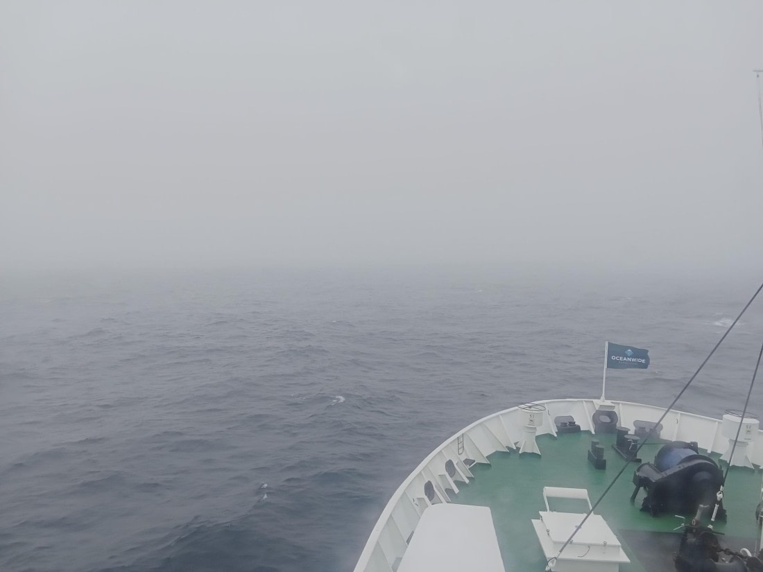 OTL24-25, Day 3, IMG20251203093945.jpg © Sam Bamford - Oceanwide Expeditions.jpg