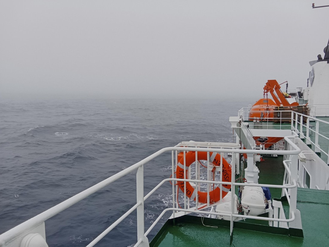 OTL24-25, Day 3, IMG20251203094037.jpg © Sam Bamford - Oceanwide Expeditions.jpg