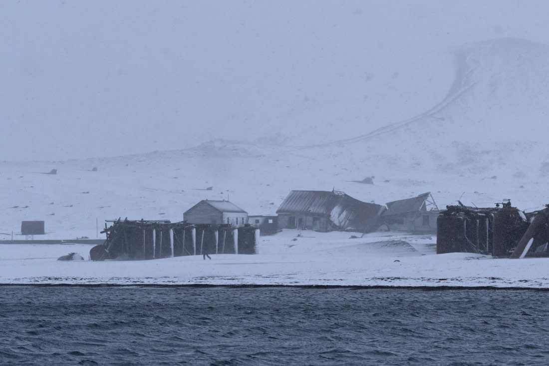 OTL24-25, Day 3, SAS_4409.JPG © Saskia van der Meij - Oceanwide Expeditions.JPG