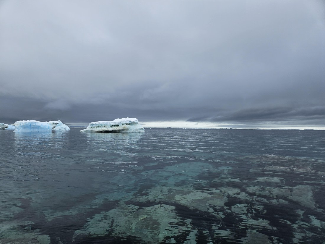 OTL24-25, Day 4, 20251204_113241.jpg © Saskia van der Meij - Oceanwide Expeditions.jpg