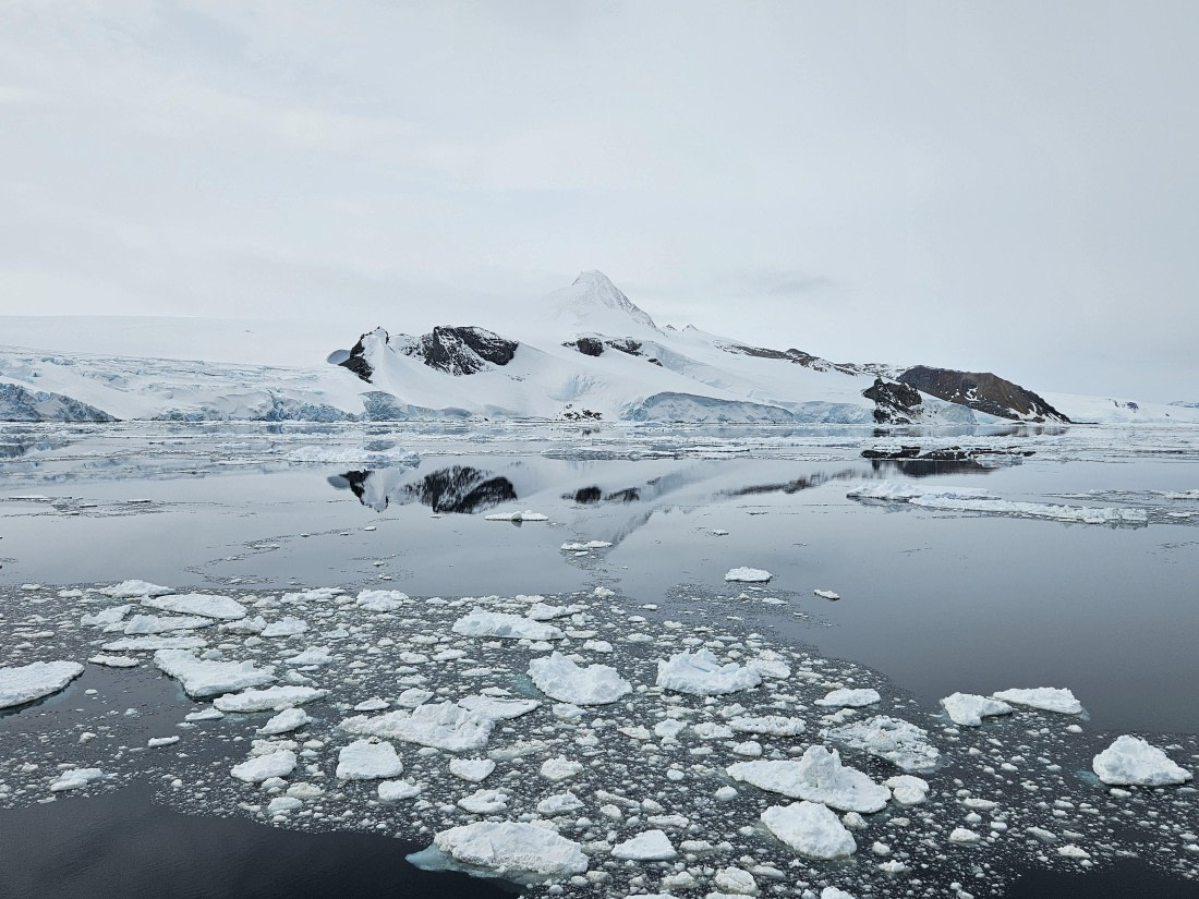 OTL24-25, Day 4, 20251204_145530.jpg © Saskia van der Meij - Oceanwide Expeditions.jpg