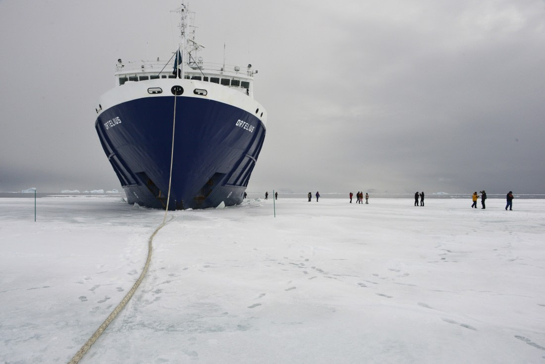 OTL24-25, Day 4, Gary 4Dec-Kinnes Cove-Ship at ice walk.JPG © Gary Miller - Oceanwide Expeditions.JPG