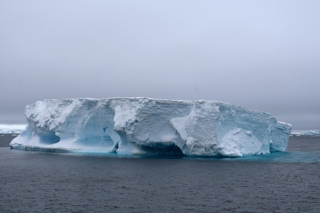 OTL24-25, Day 4, IMG_7498.JPG © Beth Hitchcock - Oceanwide Expeditions.JPG