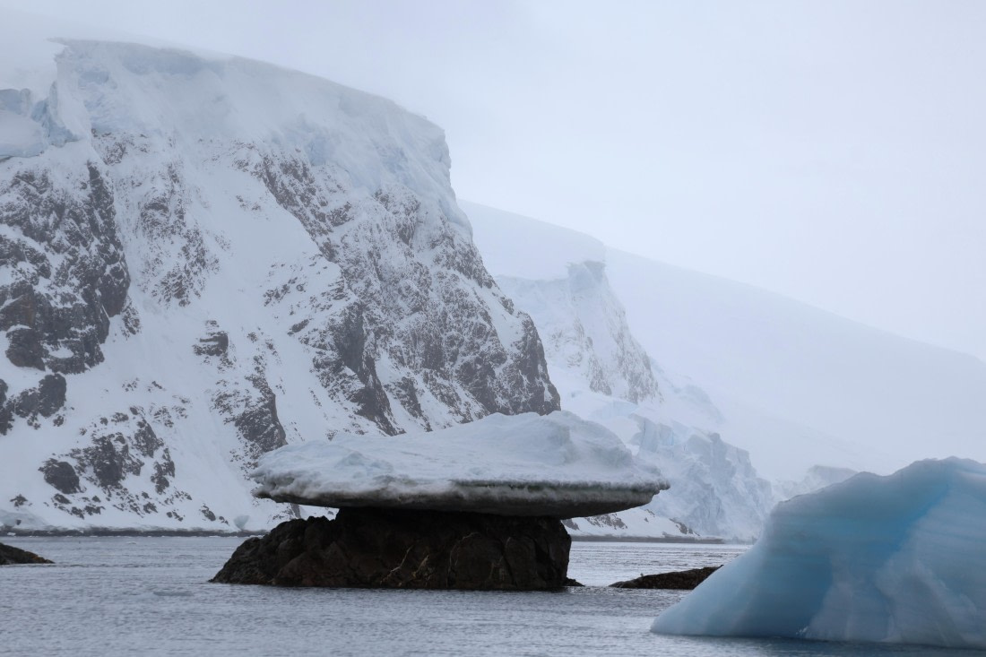 OTL24-25, Day 4, IMG_7553.JPG © Beth Hitchcock - Oceanwide Expeditions.JPG