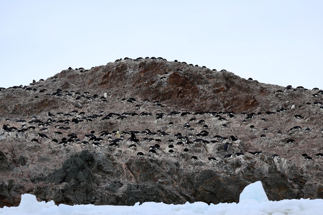 OTL24-25, Day 4, IMG_7554.JPG © Beth Hitchcock - Oceanwide Expeditions.JPG