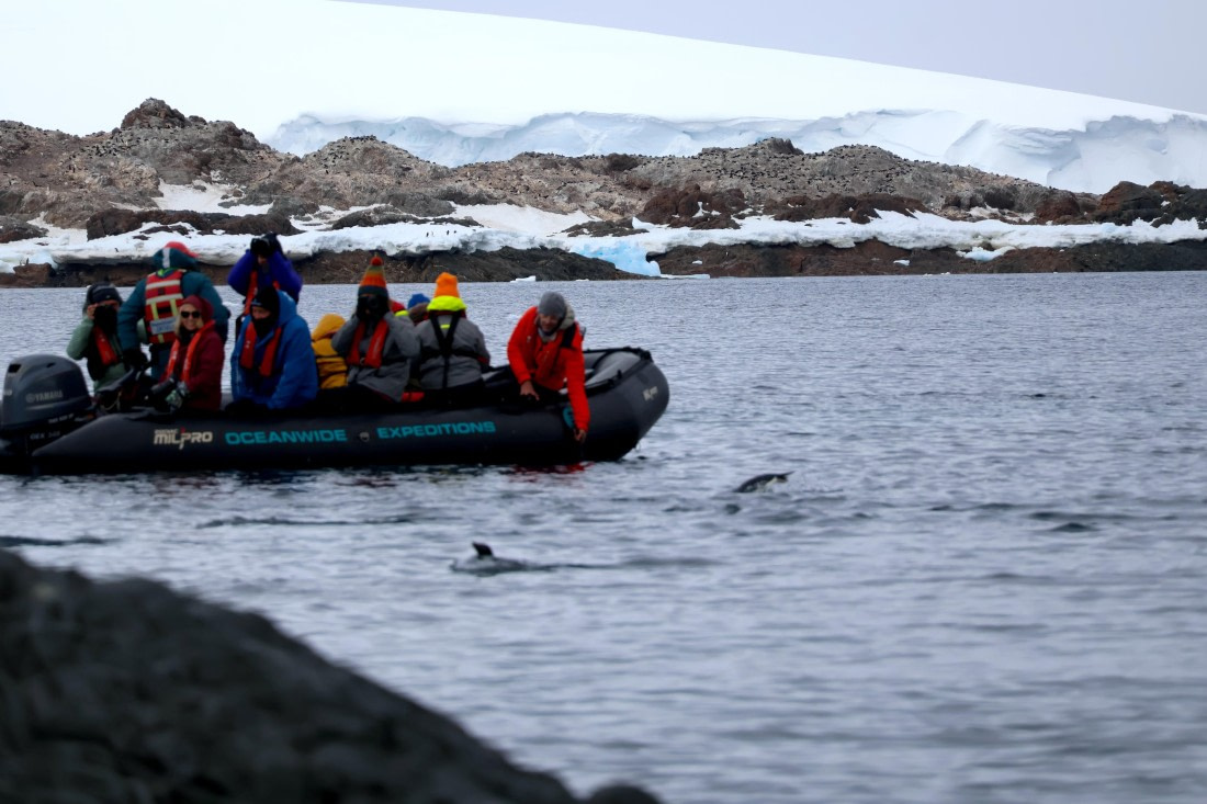 OTL24-25, Day 4, IMG_7603.JPG © Beth Hitchcock - Oceanwide Expeditions.JPG