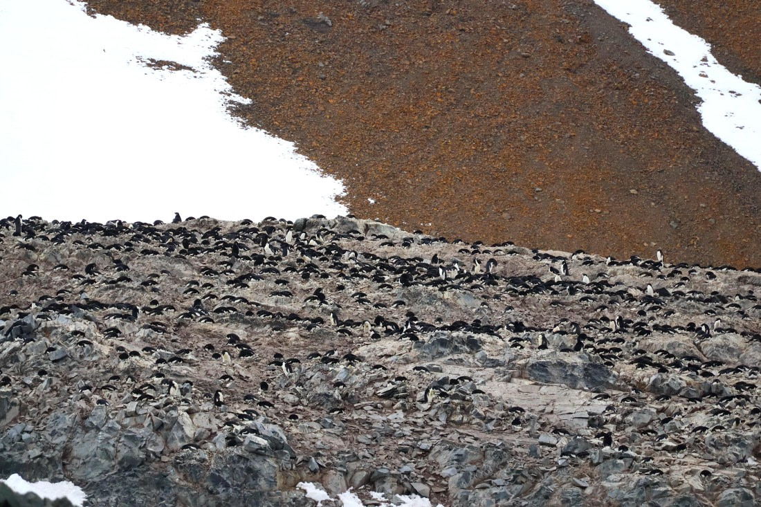 OTL24-25, Day 4, IMG_7639.JPG © Beth Hitchcock - Oceanwide Expeditions.JPG