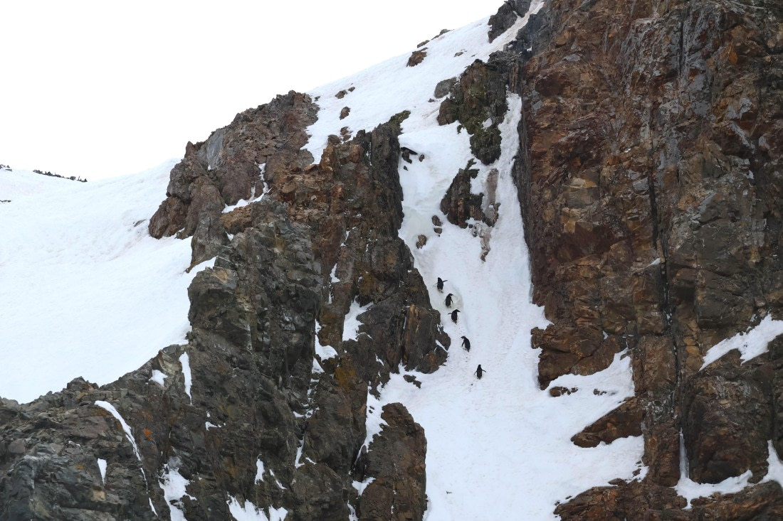 OTL24-25, Day 4, IMG_7650.JPG © Beth Hitchcock - Oceanwide Expeditions.JPG