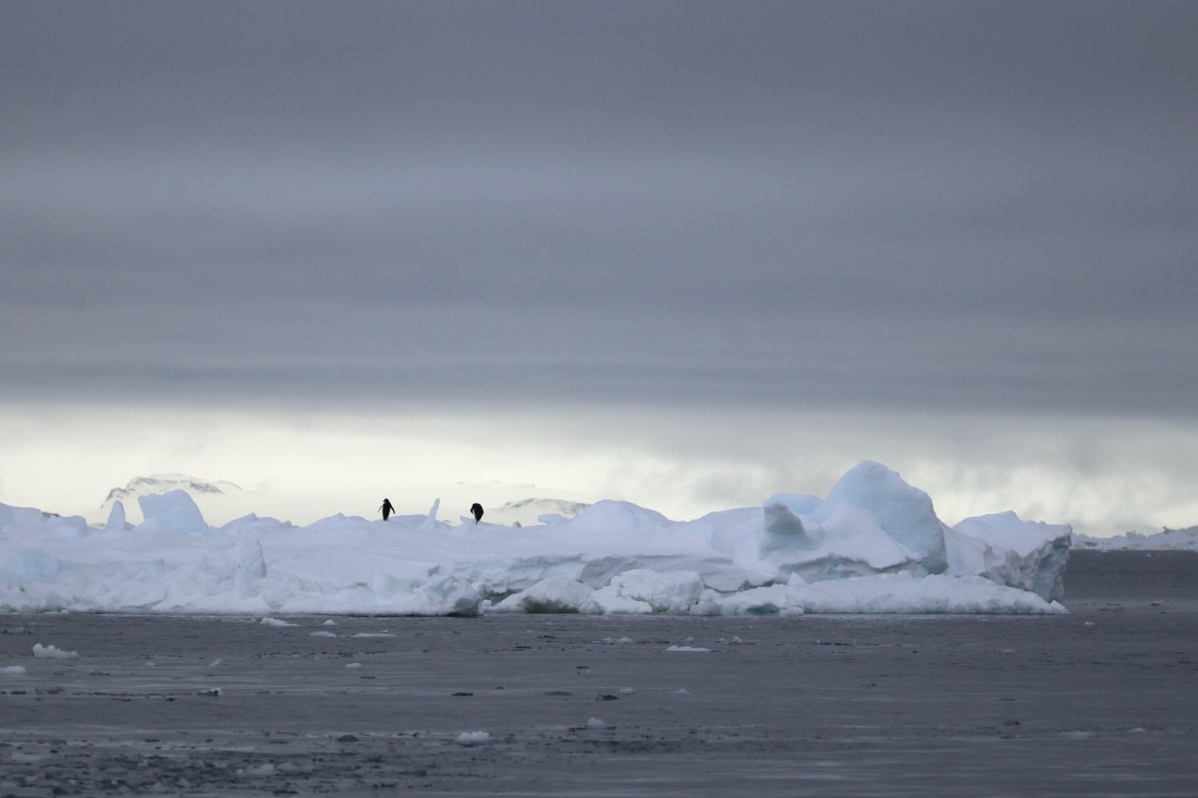 OTL24-25, Day 4, IMG_7690.JPG © Beth Hitchcock - Oceanwide Expeditions.JPG