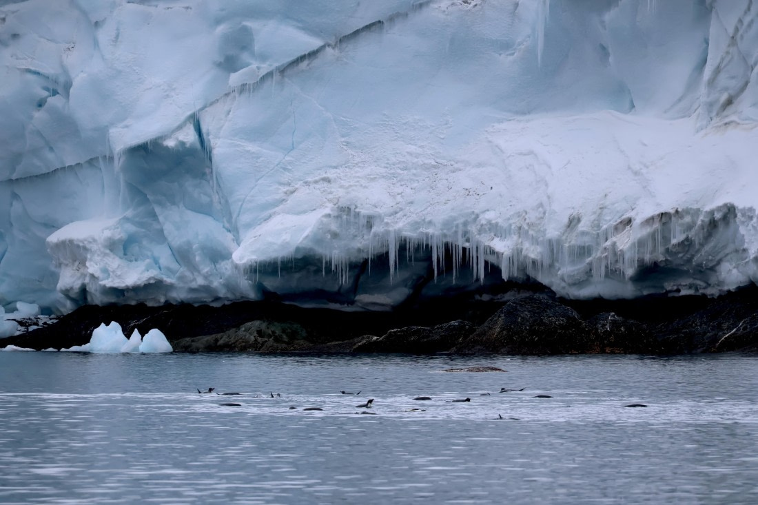 OTL24-25, Day 4, IMG_7681.JPG © Beth Hitchcock - Oceanwide Expeditions.JPG