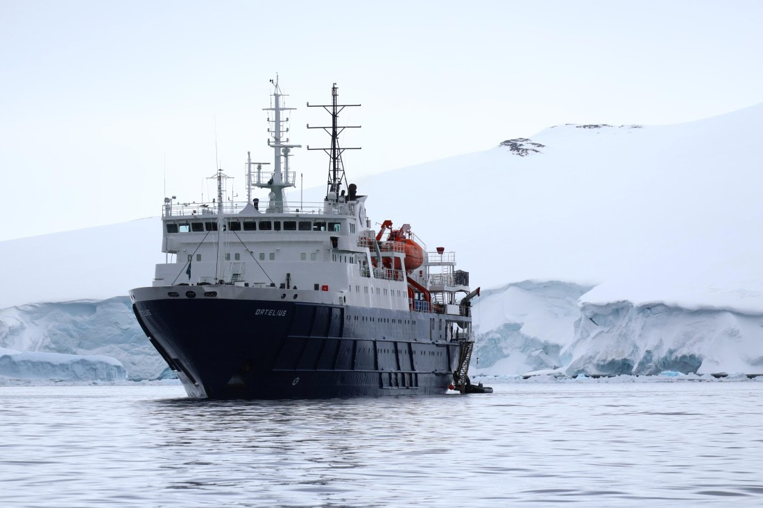 OTL24-25, Day 4, IMG_7706.JPG © Beth Hitchcock - Oceanwide Expeditions.JPG