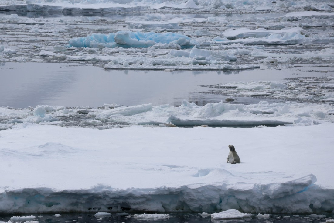 OTL24-25, Day 4, IMG_7729.JPG © Beth Hitchcock - Oceanwide Expeditions.JPG