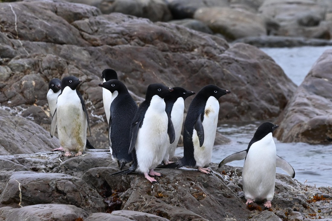 OTL24-25, Day 4, SAS_4435.JPG © Saskia van der Meij - Oceanwide Expeditions.JPG