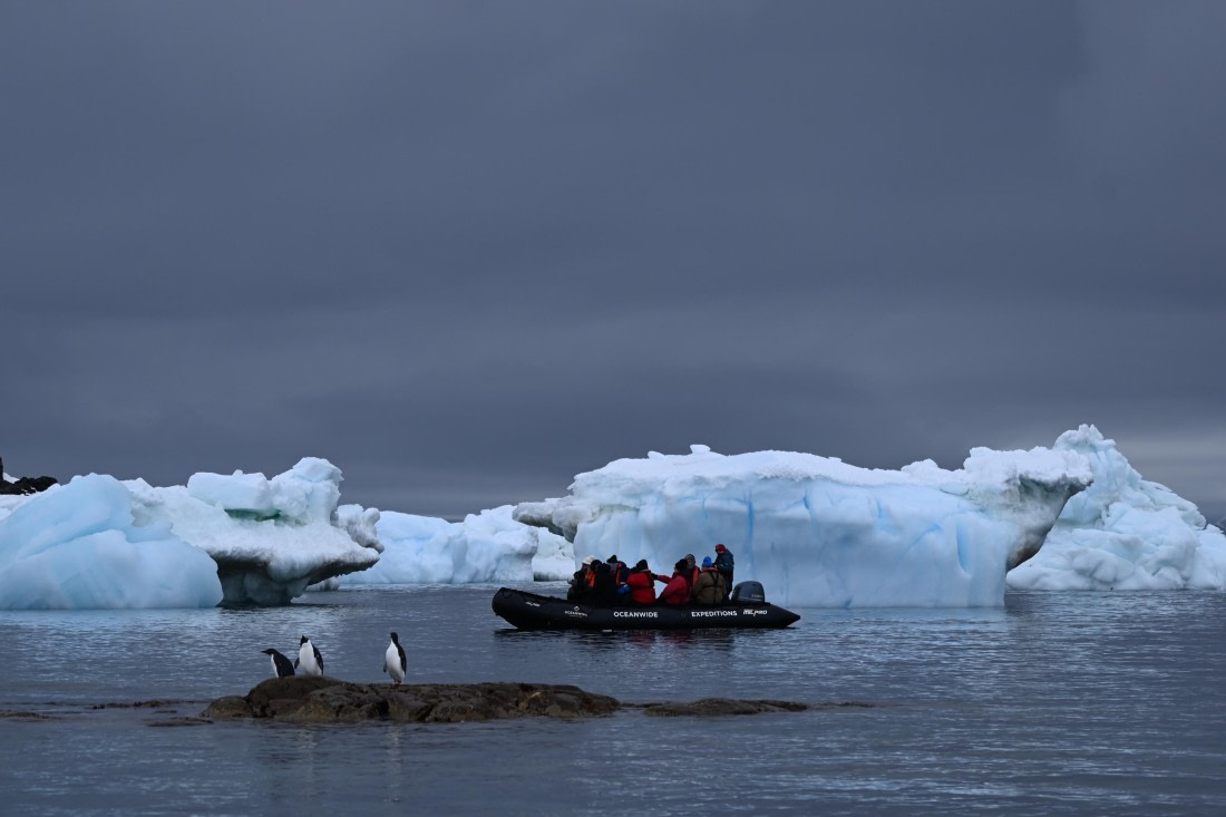 OTL24-25, Day 4, SAS_4438.JPG © Saskia van der Meij - Oceanwide Expeditions.JPG