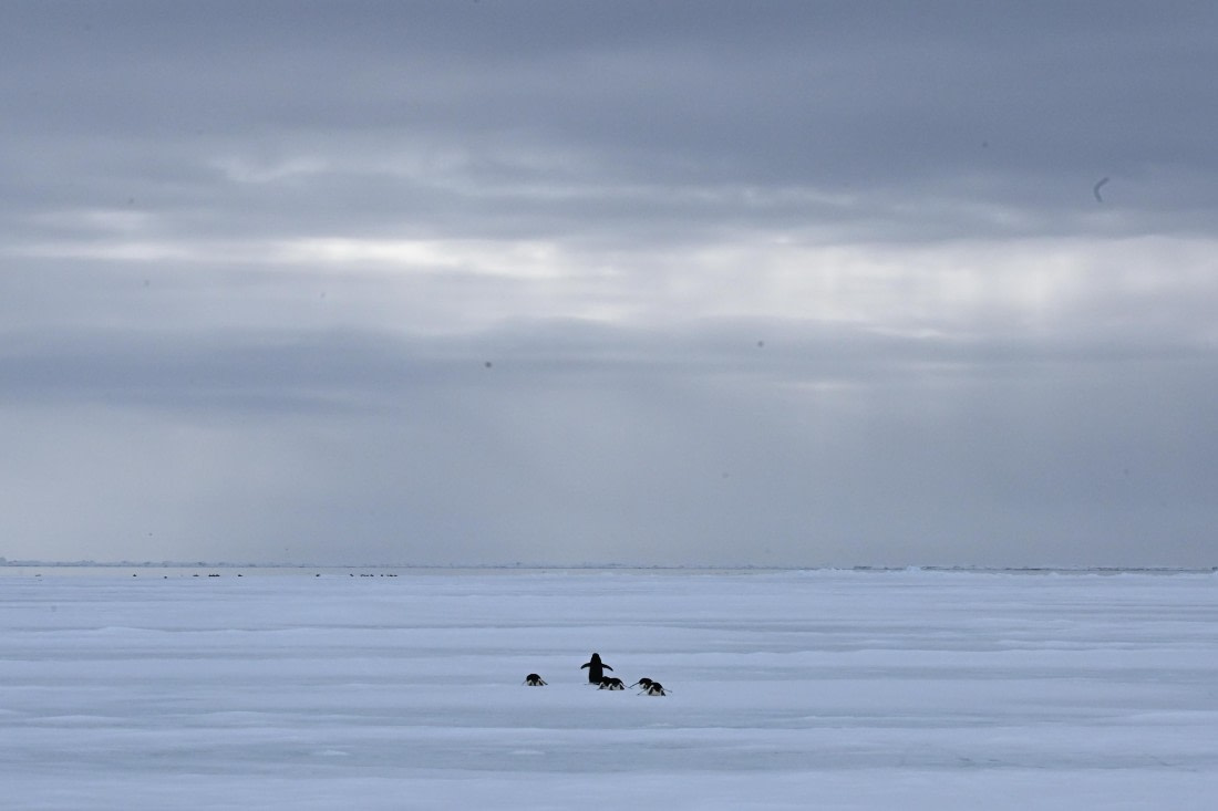 OTL24-25, Day 4, SAS_4481.JPG © Saskia van der Meij - Oceanwide Expeditions.JPG