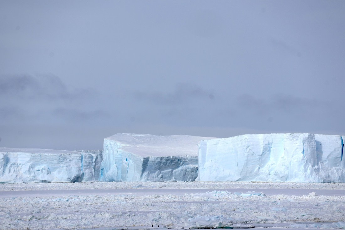 OTL24-25, Day 5, IMG_7820.JPG © Beth Hitchcock - Oceanwide Expeditions.JPG