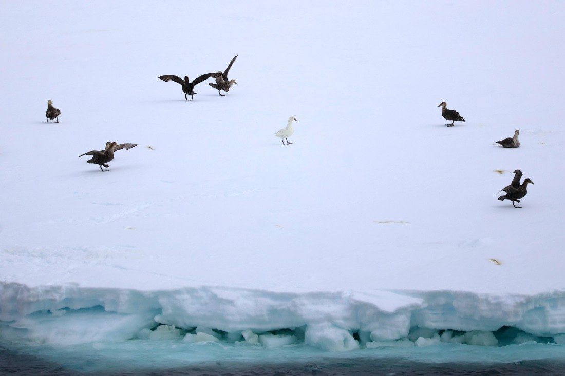 OTL24-25, Day 5, IMG_7850.JPG © Beth Hitchcock - Oceanwide Expeditions.JPG