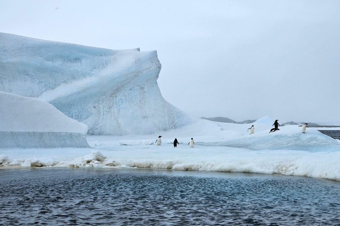 OTL24-25, Day 6, 20251206_172833.jpg © Saskia van der Meij - Oceanwide Expeditions.jpg