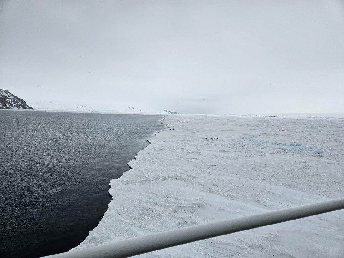 OTL24-25, Day 6, 20251206_203350.jpg © Saskia van der Meij - Oceanwide Expeditions.jpg