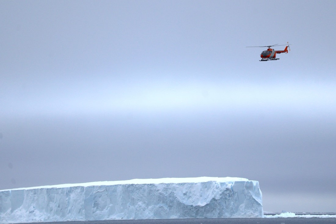 OTL24-25, Day 6, IMG_7932.JPG © Beth Hitchcock - Oceanwide Expeditions.JPG