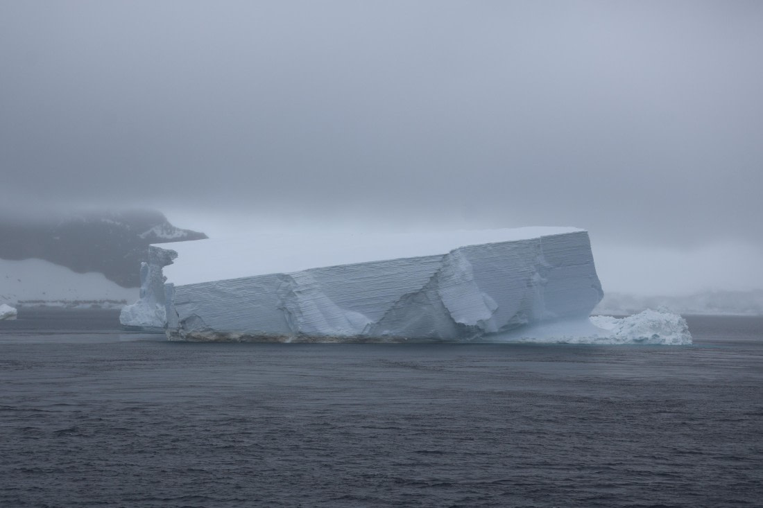 OTL24-25, Day 6, IMG_7969.JPG © Beth Hitchcock - Oceanwide Expeditions.JPG