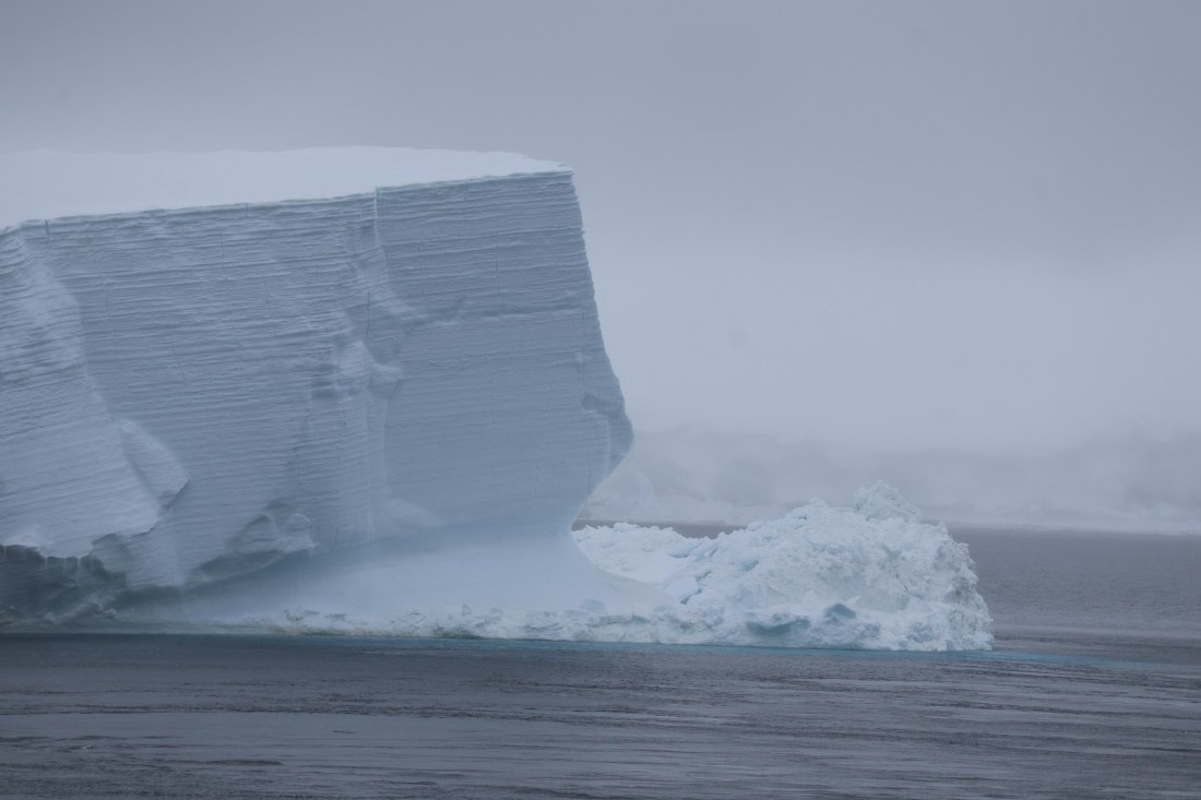 OTL24-25, Day 6, IMG_7970.JPG © Beth Hitchcock - Oceanwide Expeditions.JPG