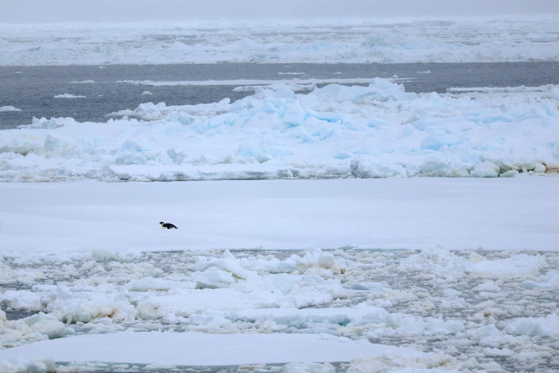 OTL24-25, Day 6, IMG_7981.JPG © Beth Hitchcock - Oceanwide Expeditions.JPG