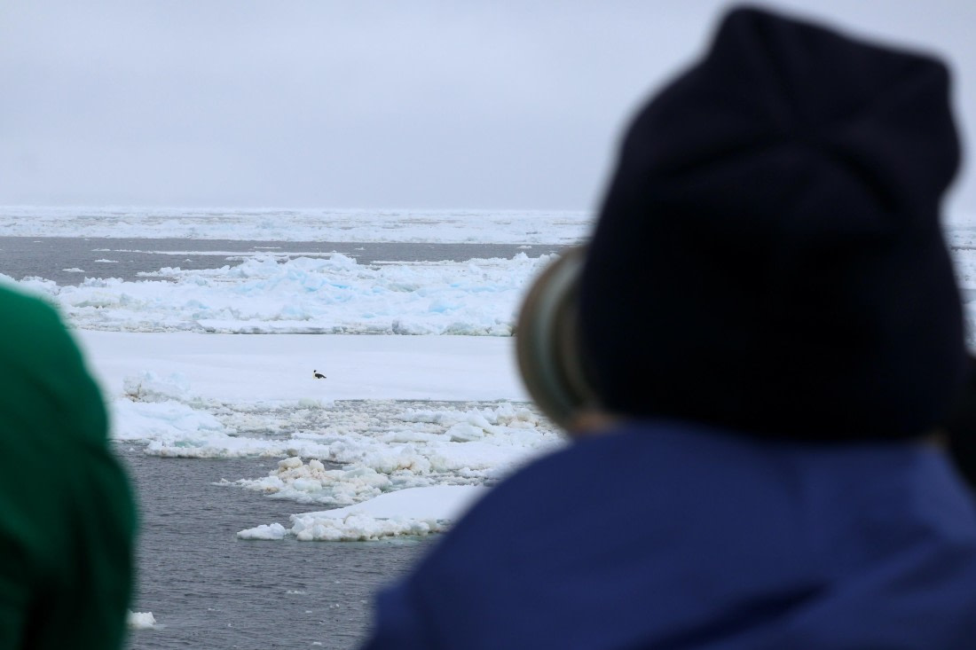 OTL24-25, Day 6, IMG_7982.JPG © Beth Hitchcock - Oceanwide Expeditions.JPG