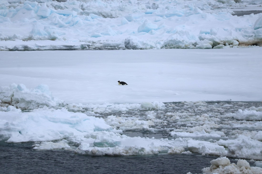 OTL24-25, Day 6, IMG_7985.JPG © Beth Hitchcock - Oceanwide Expeditions.JPG