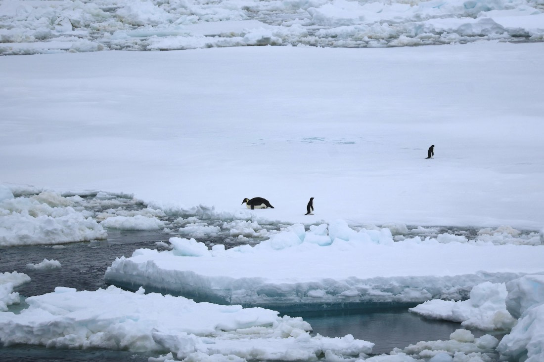 OTL24-25, Day 6, IMG_7987.JPG © Beth Hitchcock - Oceanwide Expeditions.JPG