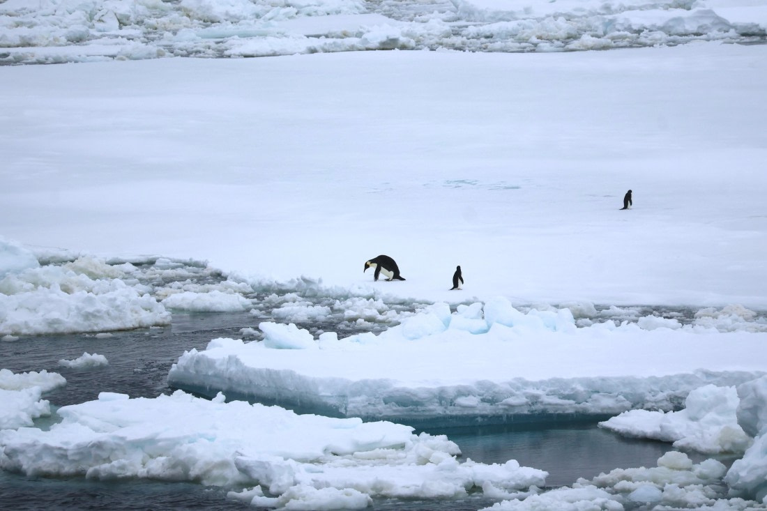 OTL24-25, Day 6, IMG_7988.JPG © Beth Hitchcock - Oceanwide Expeditions.JPG