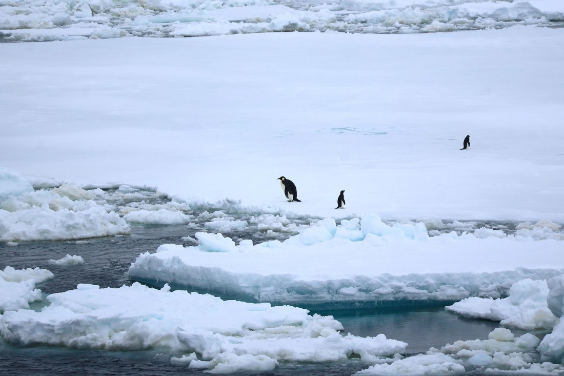 OTL24-25, Day 6, IMG_7989.JPG © Beth Hitchcock - Oceanwide Expeditions.JPG