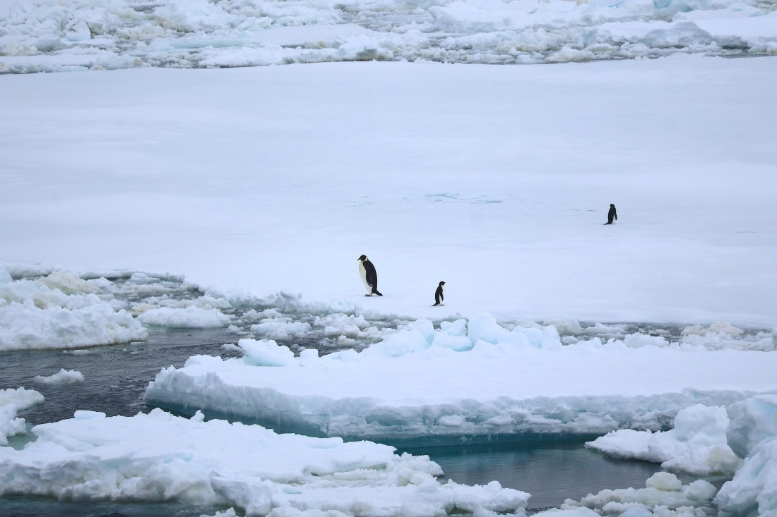 OTL24-25, Day 6, IMG_7990.JPG © Beth Hitchcock - Oceanwide Expeditions.JPG