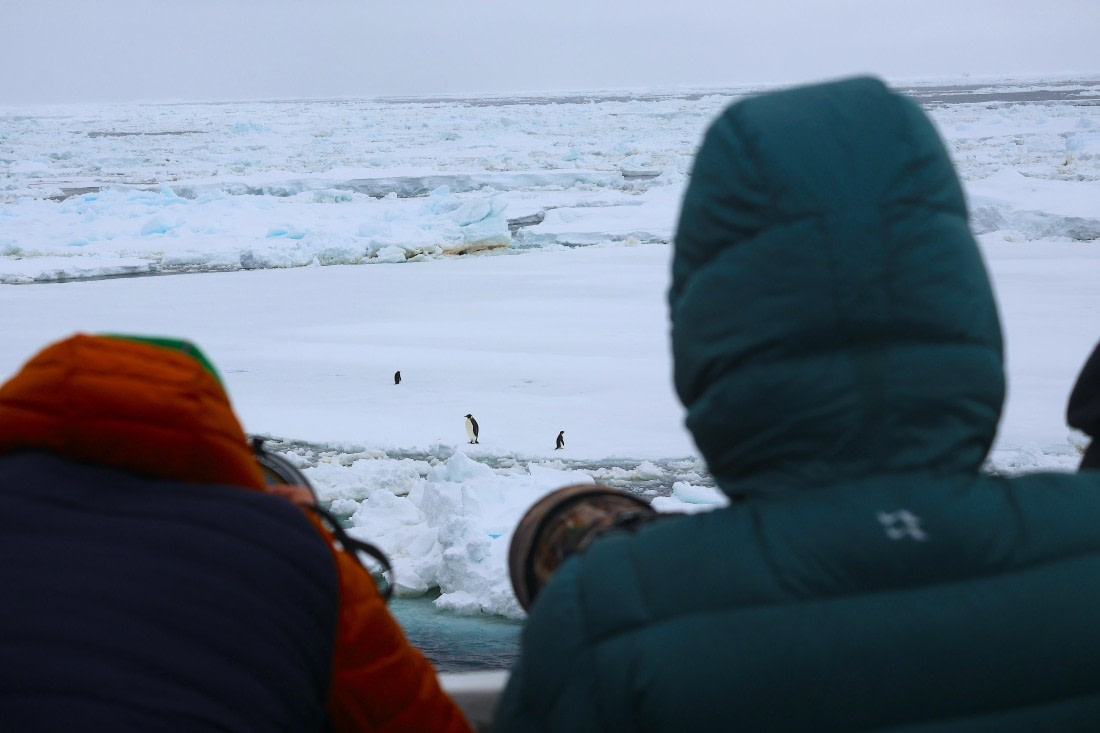 OTL24-25, Day 6, IMG_7999.JPG © Beth Hitchcock - Oceanwide Expeditions.JPG