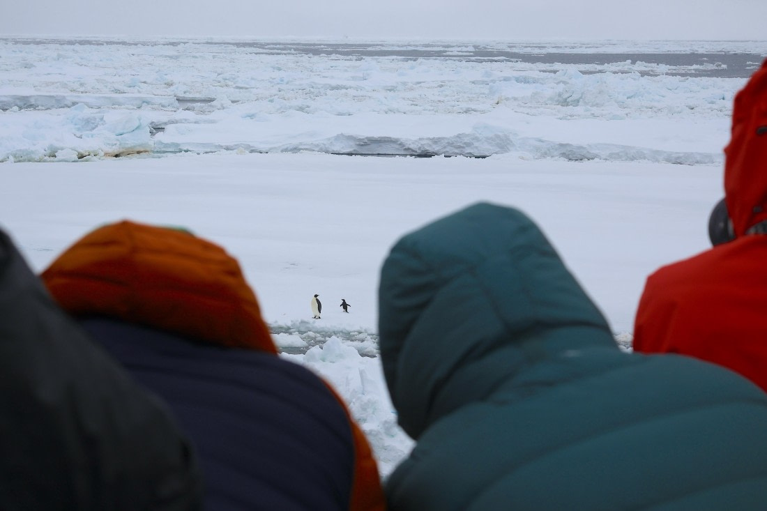 OTL24-25, Day 6, IMG_8001.JPG © Beth Hitchcock - Oceanwide Expeditions.JPG