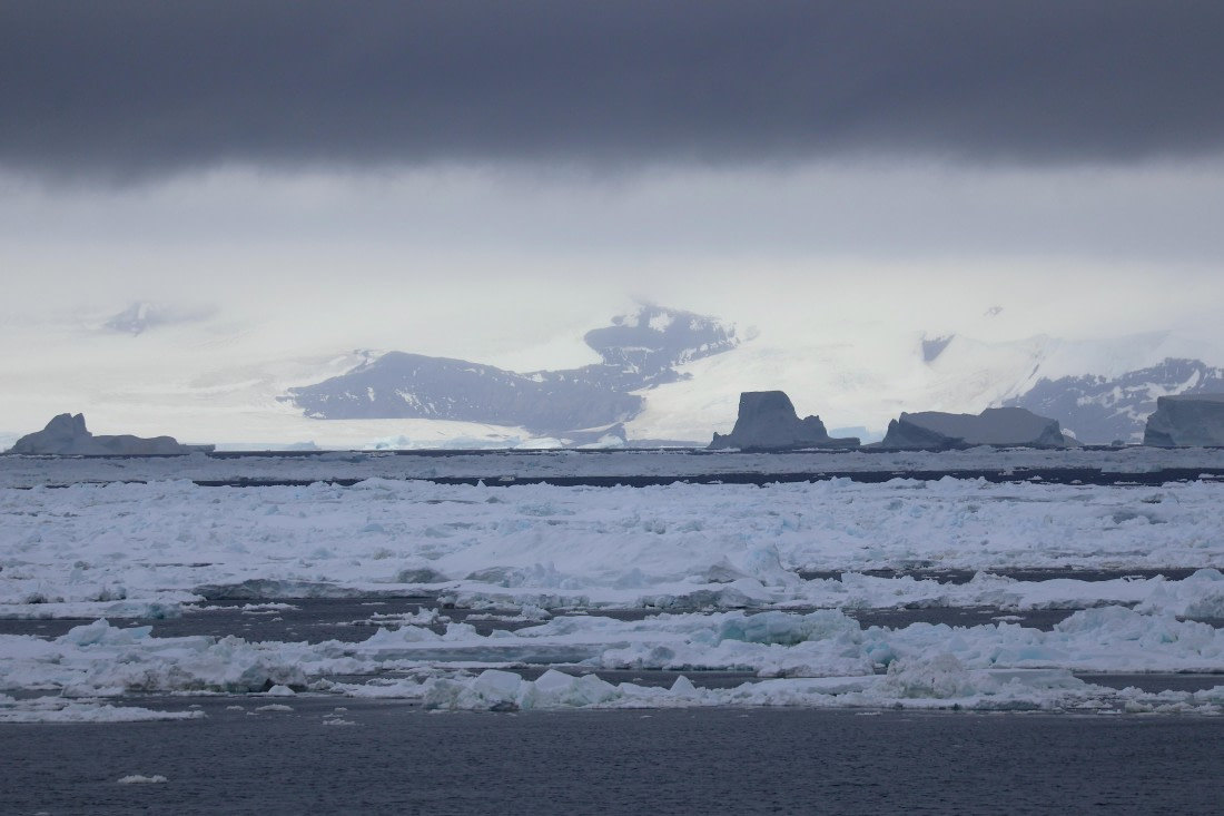 OTL24-25, Day 6, IMG_8015.JPG © Beth Hitchcock - Oceanwide Expeditions.JPG