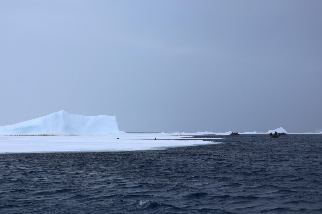 OTL24-25, Day 6, IMG_8046.JPG © Beth Hitchcock - Oceanwide Expeditions.JPG