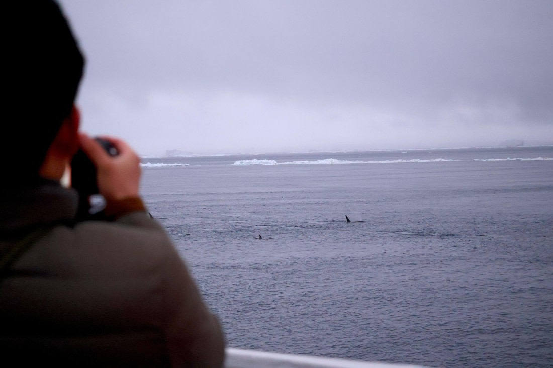 OTL24-25, Day 6, IMG_8088.JPG © Beth Hitchcock - Oceanwide Expeditions.JPG